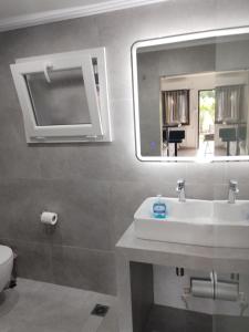 a bathroom with a sink and a mirror and a toilet at AFRODITE in Diakopto