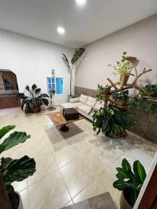 a living room filled with lots of potted plants at Casa de Ali in Pereira