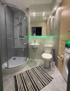 uma casa de banho com um chuveiro, um WC e um lavatório. em ApartBroniewskiego em Toruń
