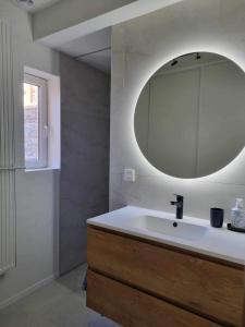 een badkamer met een wastafel en een spiegel bij Shiba aan zee in Middelkerke