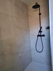 een douche met een douchekop in de badkamer bij Shiba aan zee in Middelkerke