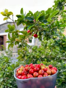 a bowl of strawberries in front of a plant at Jabal Shams Villa in Sa‘ab Banī Khamīs