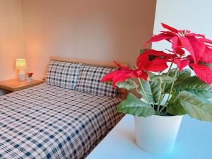 斯托克波特的住宿－GALAXY APARTMENT，一间卧室配有一张床和盆栽植物