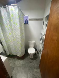 プンタ・デル・ディアブロにあるCasa Enzoのトイレとシャワーカーテン付きのバスルーム