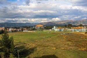 a large field with a group of animals in it at Hotel Los andes Suite Cajamarca in Cajamarca