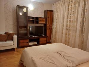Televízia a/alebo spoločenská miestnosť v ubytovaní Apartament pod Nosalem