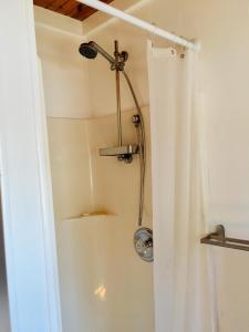 y baño con ducha y cortina de ducha. en Bimini Seaside Villas - Green Cottage with Bay/Marina View, en Alice Town