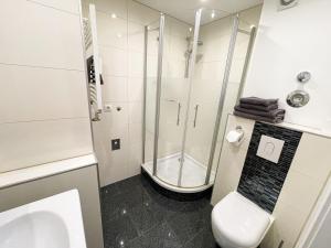 ein Bad mit einer Dusche, einem WC und einem Waschbecken in der Unterkunft Business Apartment Altstadt in Bremen