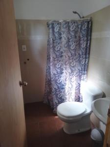 a bathroom with a toilet and a shower curtain at Apartamento Atlantida in Villa Argentina