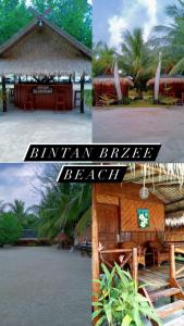 a collage of pictures of a beach with a straw hut at Bintan Brzee Beach in Island Bintan - Bungalow 3 in Berakit