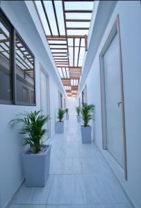 einen leeren Korridor mit Topfpflanzen in einem Bürogebäude in der Unterkunft Casa Encanto Manga in Cartagena de Indias