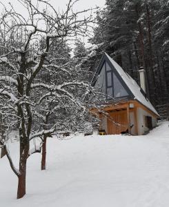 Domček strýka Ivana v zimě