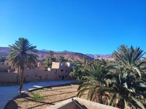 a view of a village with palm trees and buildings at Hôte sahara & spa TADIGHOUST in El Hara