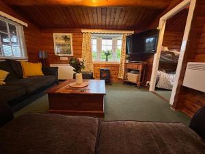 a living room with a couch and a tv at Cosy Log Cabin Snowdonia Eryri in Trawsfynydd