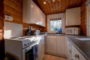 een keuken met witte apparatuur en een houten plafond bij Cosy Log Cabin Snowdonia Eryri in Trawsfynydd