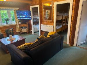 Televiisor ja/või meelelahutuskeskus majutusasutuses Cosy Log Cabin Snowdonia Eryri +3 fotot
