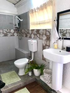 a bathroom with a toilet and a sink at Residence Ma Vie Là Ltee in Le Morne