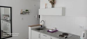 eine Küche mit Spüle und Kühlschrank in der Unterkunft Departamento 57 Parque San Martin in La Plata