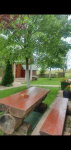 a wooden picnic table with a tree in a yard at Holiday Home Vile Calimero in Žabljak