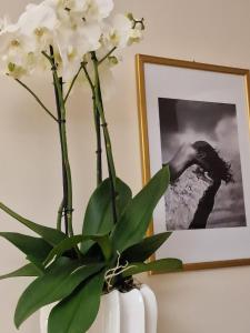 a white vase with a plant in front of a picture at Guest House Canalis 17 in Oristano