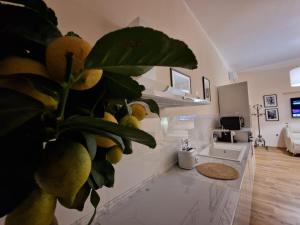 un soggiorno con una pianta al centro di una stanza di Guest House Canalis 17 a Oristano