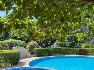 una piscina azul en un patio con árboles en Villa Hermosa en Playa Hermosa