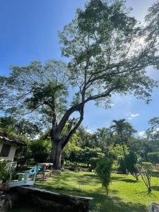 un gran árbol con un banco en un parque en Villa Hermosa en Playa Hermosa