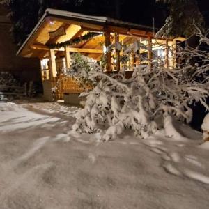 a tree covered in snow in front of a building at Holiday Home Tirol in Vlasic