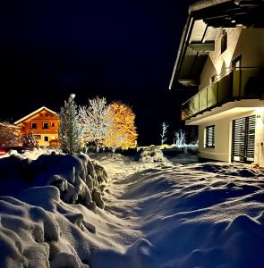 翁特陶埃恩的住宿－My Appartements，夜间在建筑物前的雪覆盖车道