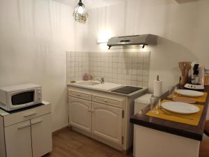 Il comprend une petite cuisine équipée d'un évier et d'un four micro-ondes. dans l'établissement Le Charme - Focalimmo (Centre), à Foix