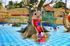a group of people in the water at a water park at ECO CHALÉ PARK CACHOEIRAS in Presidente Figueiredo