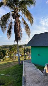 a palm tree next to a green building at ECO CHALÉ PARK CACHOEIRAS in Presidente Figueiredo