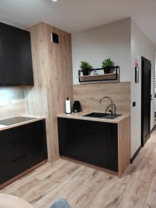 Kuchyňa alebo kuchynka v ubytovaní Apartament Zamkowe Wzgórze