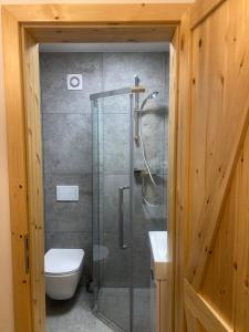 a bathroom with a glass shower and a toilet at LOFT-LUX Apartment in Jelenia Góra