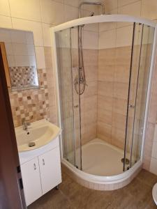 La salle de bains est pourvue d'une douche et d'un lavabo. dans l'établissement Penzion Kornout, à Bílina