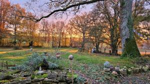 einen Garten mit Pflanzen auf einem Feld neben einem Baum in der Unterkunft Longère Typique — Charmante chambre d'Hôte 