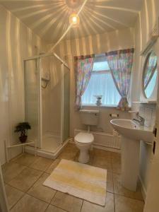 uma casa de banho com um chuveiro, um WC e um lavatório. em Sunrise Cottage em Killybegs