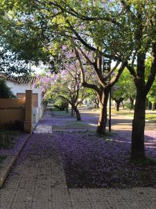 una calle arbolada con hojas púrpuras en el suelo en Boulevard Alsina 5 en San Antonio de Areco