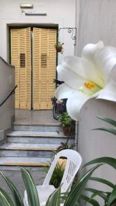 una sedia bianca seduta davanti a una porta con un fiore di Hotel Cuba a Buenos Aires