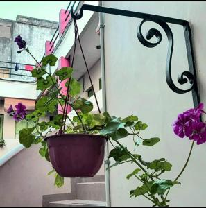 a potted plant is hanging on a stair case at Hotel Cuba in Buenos Aires