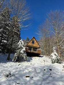 una cabaña de madera en la nieve con árboles nevados en Chatka pod Lysou, en Ostravice