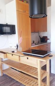 een keuken met een aanrecht met een fornuis top oven bij Kleine studio op boerenerf vlakbij Amsterdam. in Uitgeest