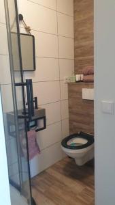 een badkamer met een zwart toilet en een spiegel bij Kleine studio op boerenerf vlakbij Amsterdam. in Uitgeest