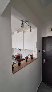 Kuchyň nebo kuchyňský kout v ubytování Apartman u Zemunu