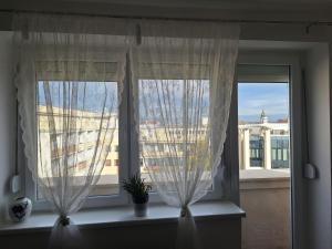 Fotografie z fotogalerie ubytování Apartman u Zemunu v destinaci Zemun