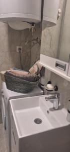 Koupelna v ubytování Apartman u Zemunu