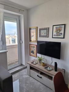 TV a/nebo společenská místnost v ubytování Apartman u Zemunu