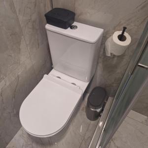 Koupelna v ubytování Apartman u Zemunu