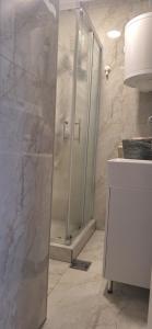 Koupelna v ubytování Apartman u Zemunu