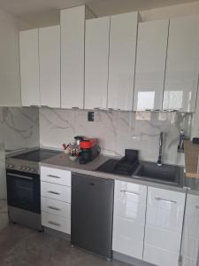 Kuchyň nebo kuchyňský kout v ubytování Apartman u Zemunu